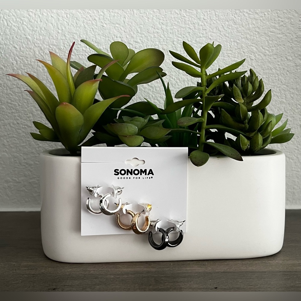 NWT Sonoma Goods For Life Earrings